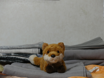 Unnamed 3 (Red Fox, Russ)